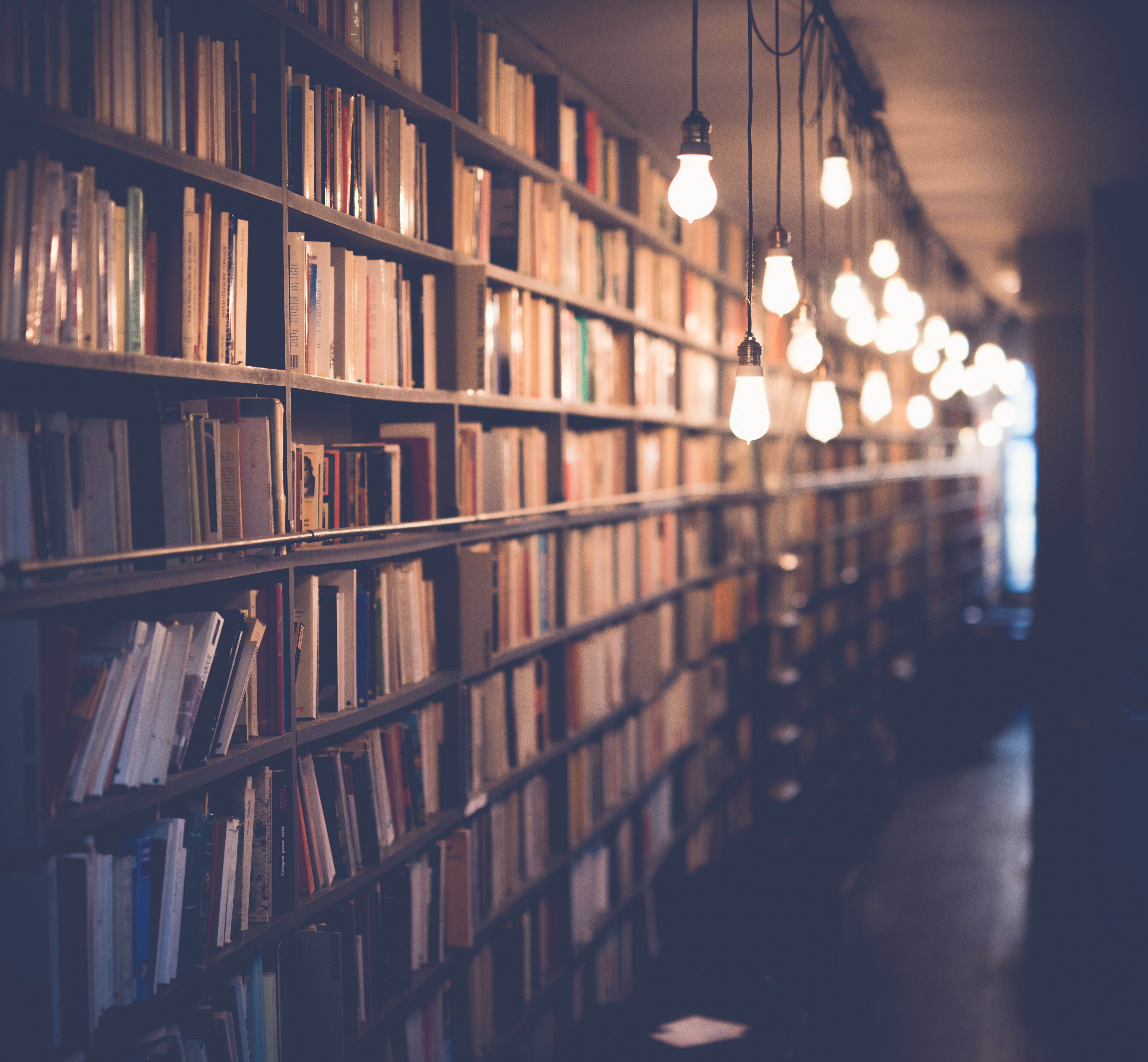 beautifully illuminated books in library